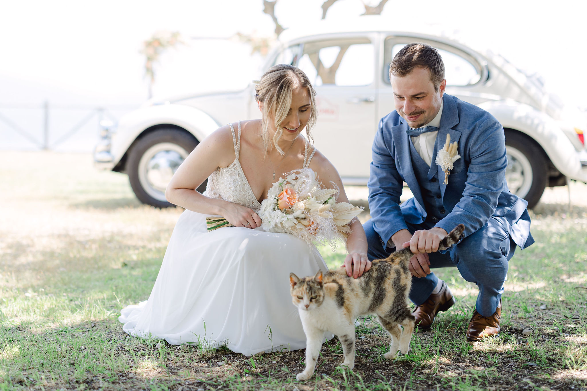 Hochzeitspaar streichelt kniend eine Katze, Brautwagen, Brautbogen im Hintergrund